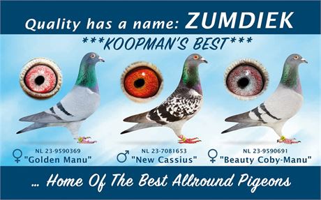 Zumdiek: *** KOOPMAN´S BEST ***