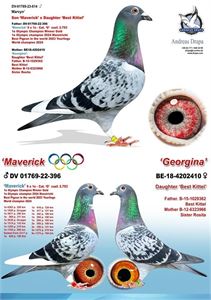 Objekt Bild