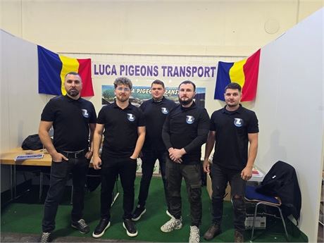 Taubentransportunternehmen Luca Pigeons Transport