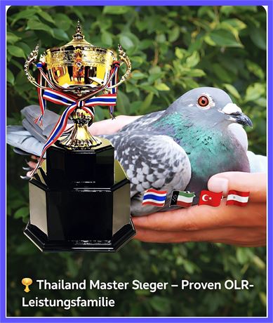 Thailand Master Sieger – bewährte OLR-Leistungsfamilie