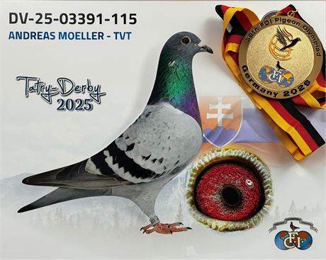 WORLD BEST PIGEON 2025 OLR - Andreas Möller