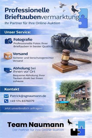Team Naumann - Der Partner für Ihre Online-Auktion!