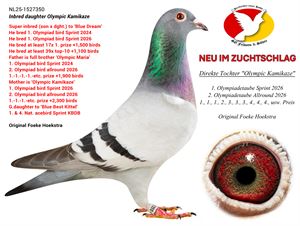 Objekt Bild