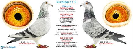 1. Konkurs RV 10. Konkurs FG /TG Direkt aus Unserem Sohn Blizzard King Kittel !!