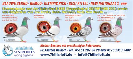 7Hills - Sommerjunge 2026 - Jetzt reservieren!
