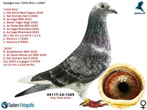 Objekt Bild