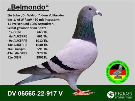 "Belmondo", 1e Konkurs GIEN