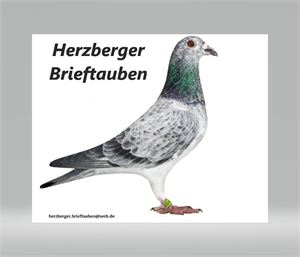 Objekt Bild