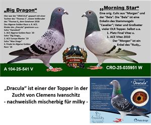 Objekt Bild