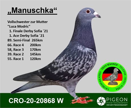 "Manuschka", original Denis Culic