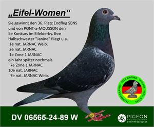 Objekt Bild