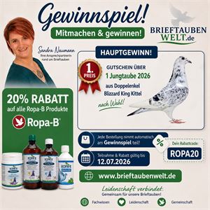Objekt Bild