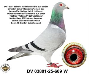 Objekt Bild
