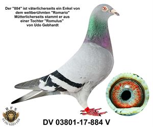 Objekt Bild
