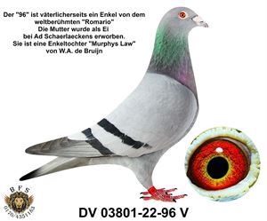 Objekt Bild