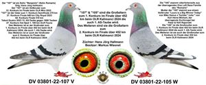 Objekt Bild