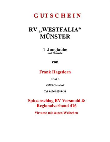 Gutschein 1 Jungtaube Frank Hagedorn