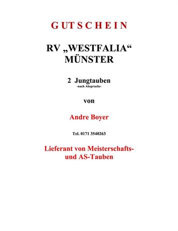 Gutschein 2 Jungtauben Andre Boyer