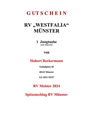 Gutschein 1 Jungtaube Hubert Reckermann
