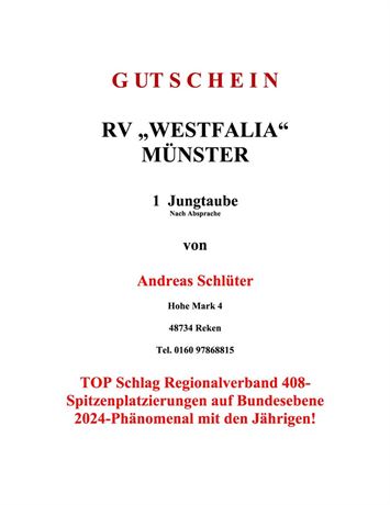 Gutschein 1 Jungtaube Andreas Schlüter
