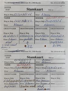 Objekt Bild