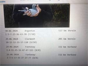 Objekt Bild