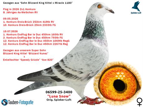 Luna Snow 2x1 Konkurs RV Aus Sohn Blizzard King Kittel !!!