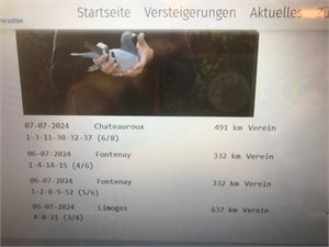 Objekt Bild