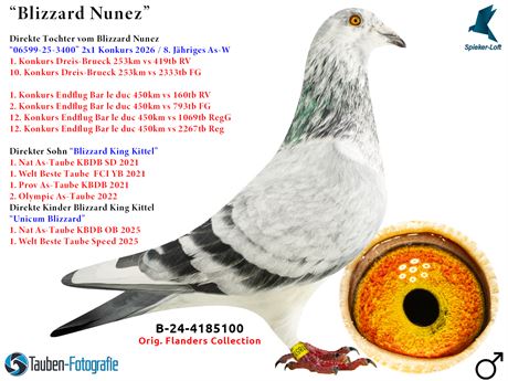 Zuchtkatalog jetzt verfügbar als PDF auf www.Tauben-Spieker.com