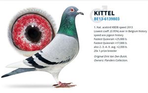 Objekt Bild